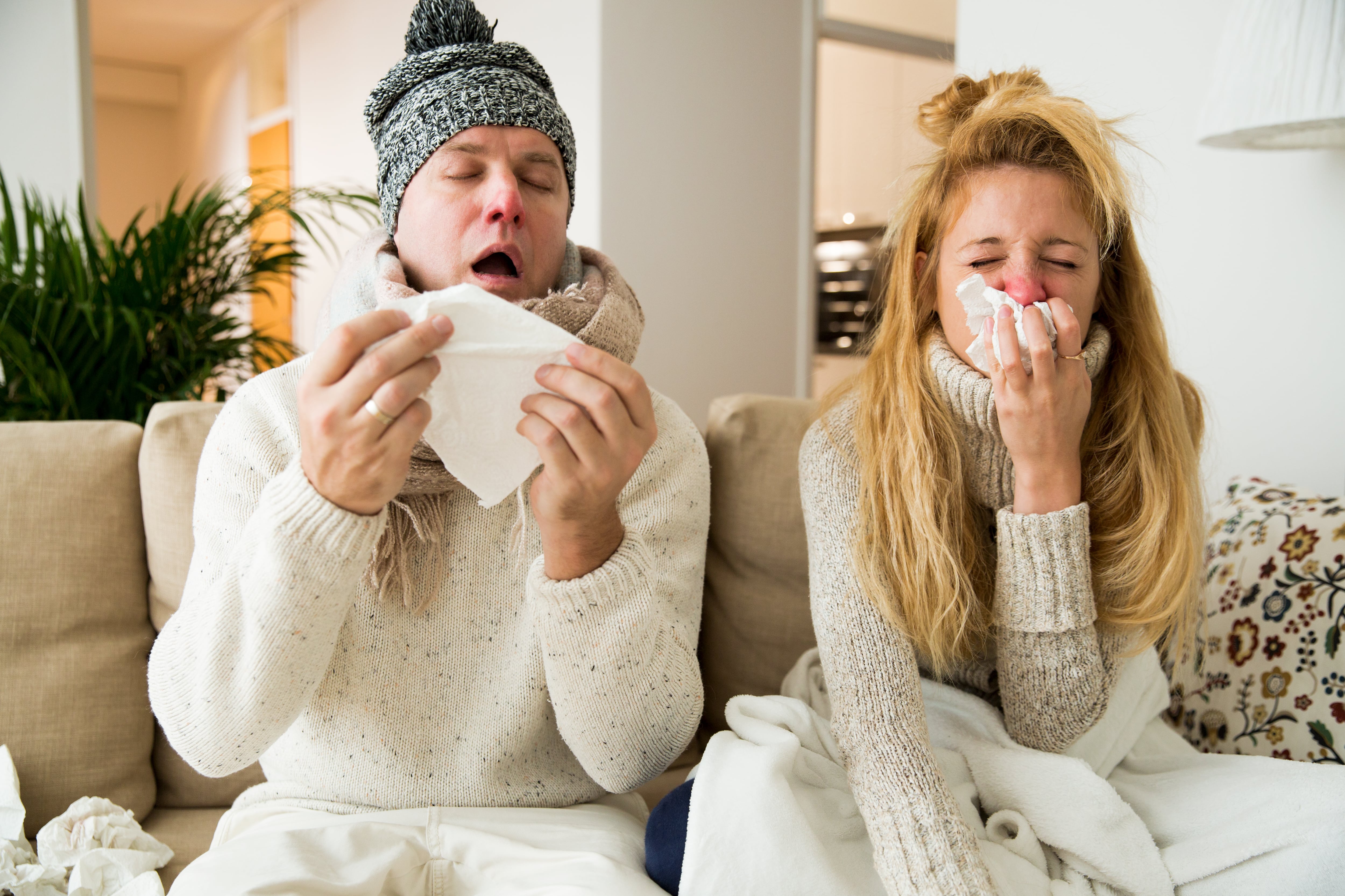 A sick couple sitting on the couch in sweaters blowing their noses and coughing