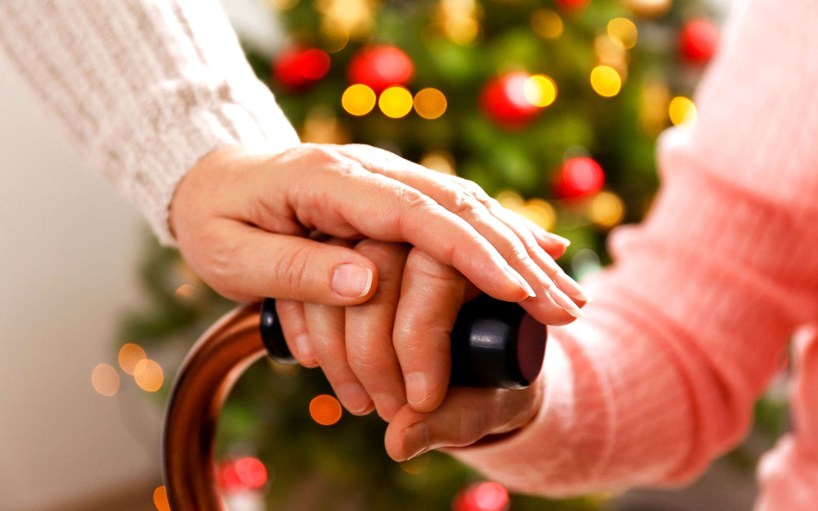 Family Holding Hands Holiday Season